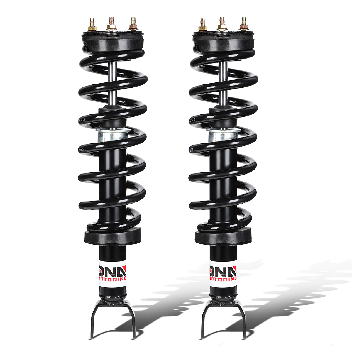 Front Left and Right Struck /& Springs Assembly #172292 Shock Absorber Fits for 2009-2010 DODGE RAM 1500 2011-2015 RAM 1500 Ship from USA warehouse